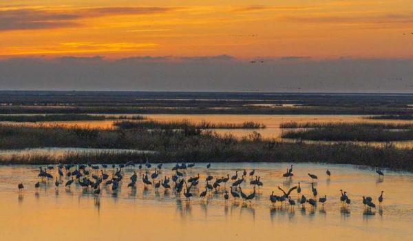 三角洲手游科技瞄准功能有效嘛（三角洲手游科技瞄准功能真的准吗？）