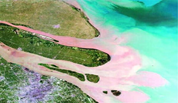 三角洲行动科技器免费最新版手游(给我三角洲行动科技器的直接下载链接) 三角洲行动科技器免费最新版手游(给我三角洲行动科技器的直接下载链接)